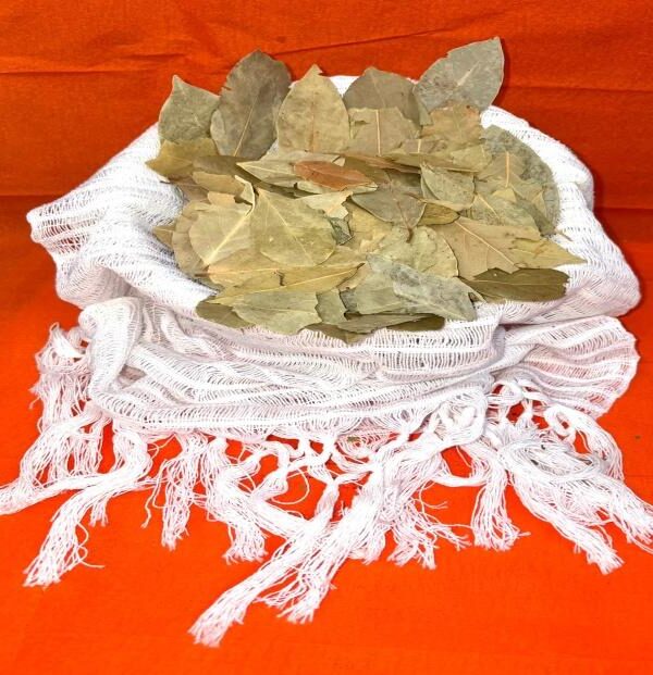 Bay Leaves (Hoja de Laurel)