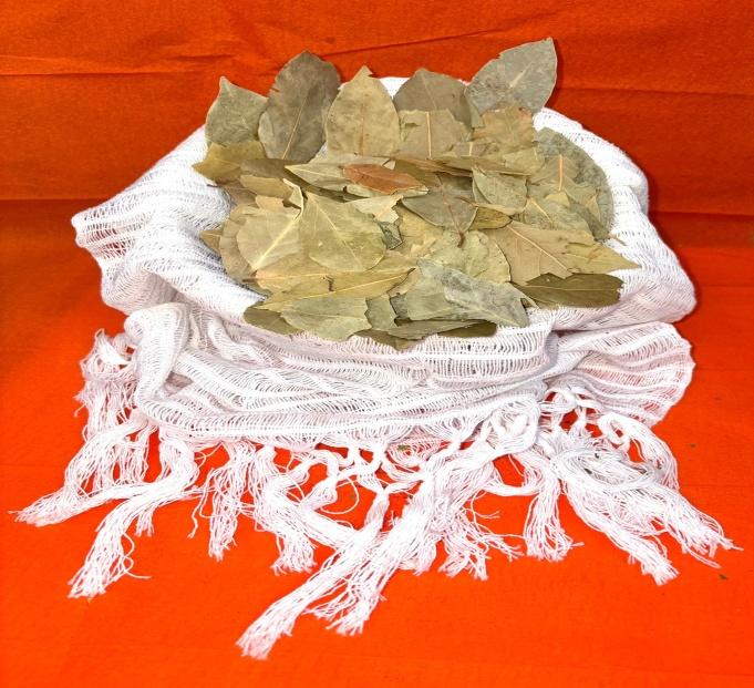 Bay Leaves (Hoja de Laurel)
