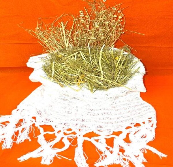 Chamomile in branch (Manzanilla Rama)
