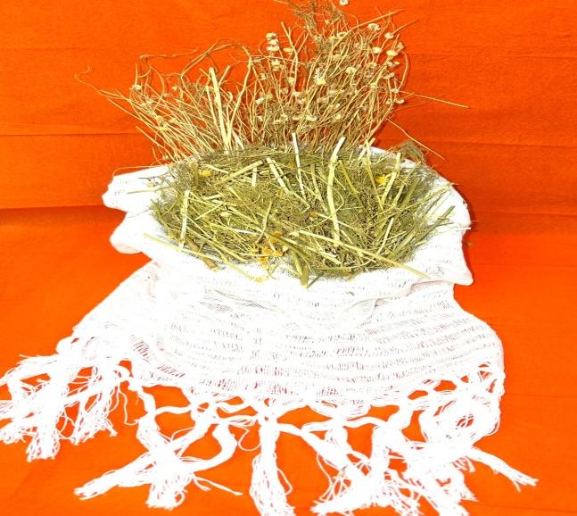 Chamomile in branch (Manzanilla Rama)