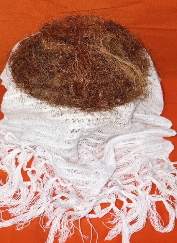 Cornsilk (Pelo De Elote)