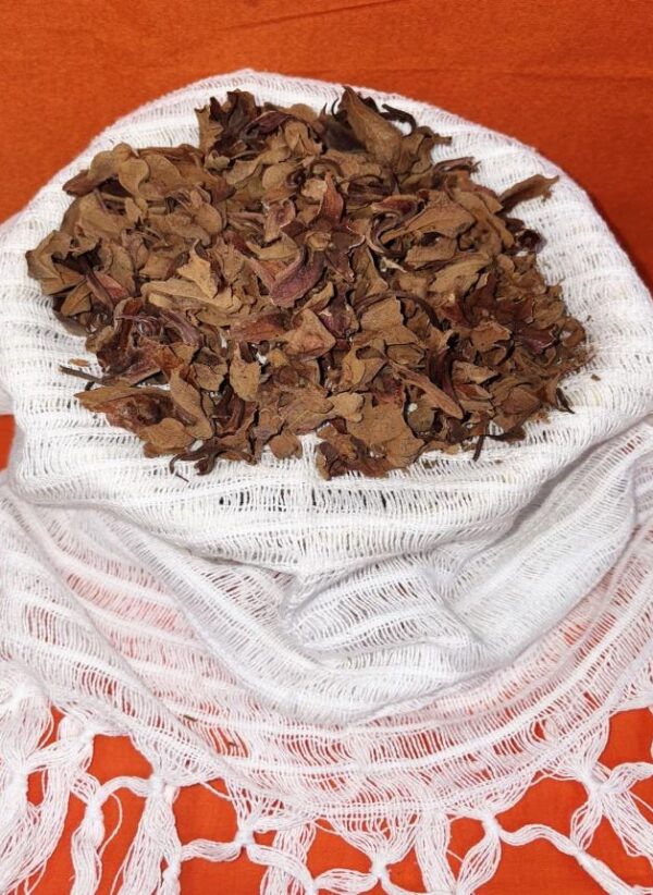 Flor De Manita (Mexican Hand Tree)