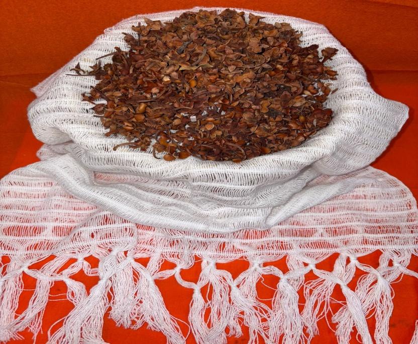 Flor de Tila (Tilia Estrella)