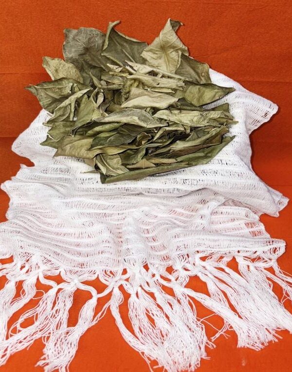 Hojas de Naranja (Orange Leaves)