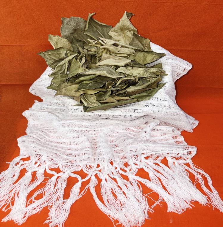 Hojas de Naranja (Orange Leaves)