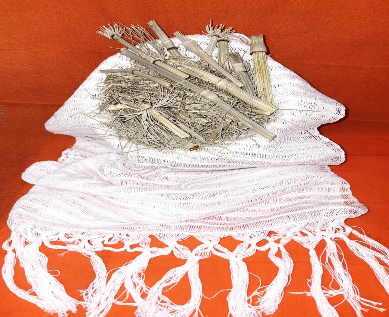 Horsetail (Cola de Caballo)