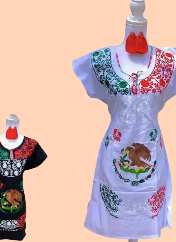 Kimono Escudo Dress (1)