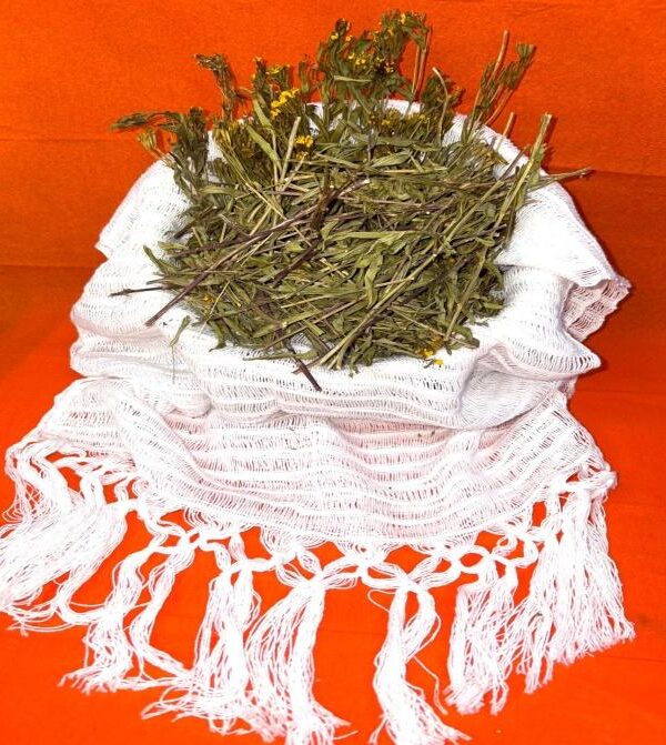 Pericon (Tagetes lucida) – Santa María Herb