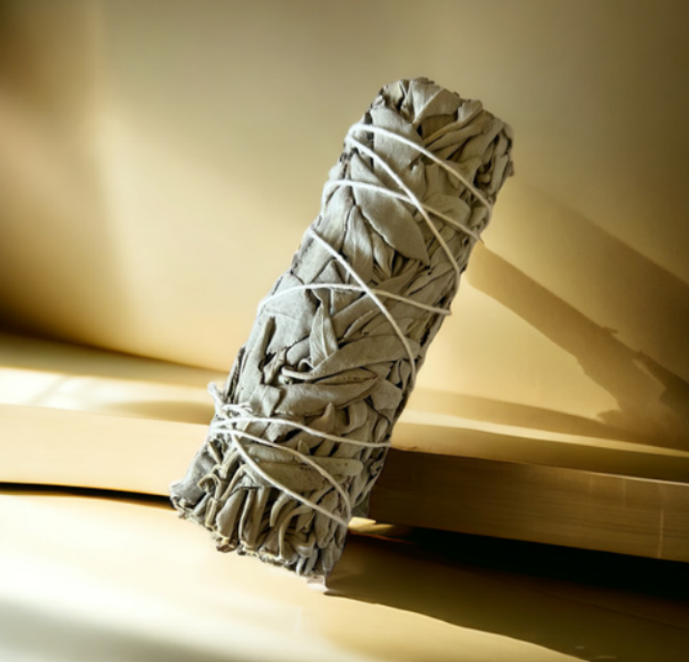 Screenshot 2026 02 11 142154