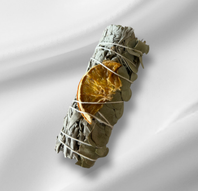 Screenshot 2026 02 11 144756