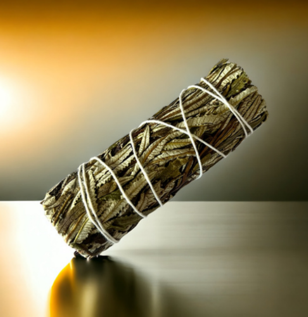 Screenshot 2026 02 13 144617