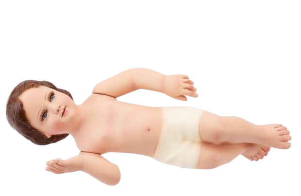 Screenshot 2026 01 23 131301 removebg preview