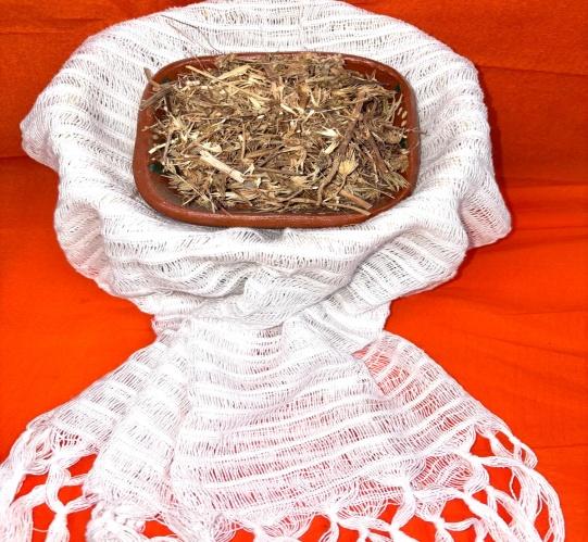 Seed of Pápalo (Papaloquelite) –