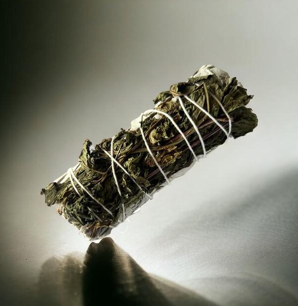 White sage with Mint