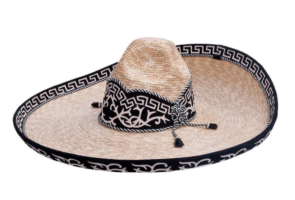 Screenshot 2026 02 25 092749