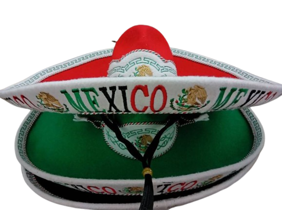 Screenshot 2026 02 22 171722 removebg preview