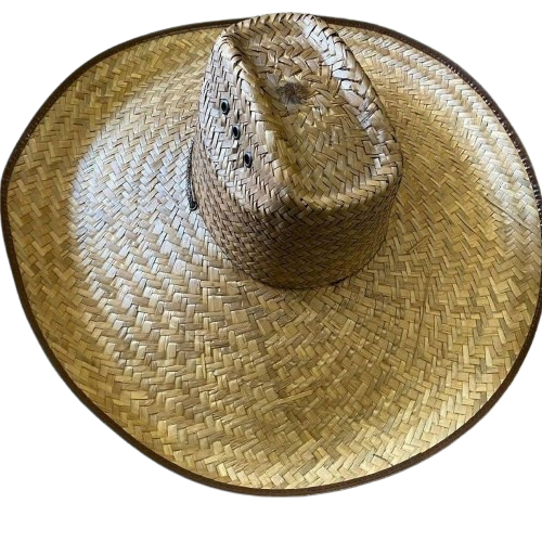 image5 removebg preview