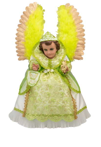 Screenshot 2026 01 20 144832 removebg preview