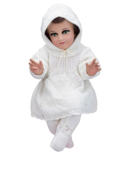 Screenshot 2026 01 20 155310 removebg preview