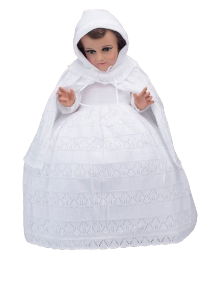 Screenshot 2026 01 20 155337 removebg preview