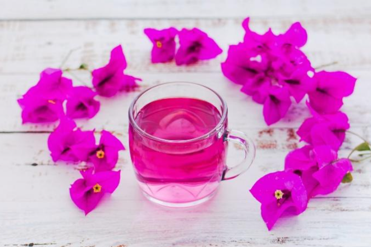 Screenshot 2026 02 10 221454