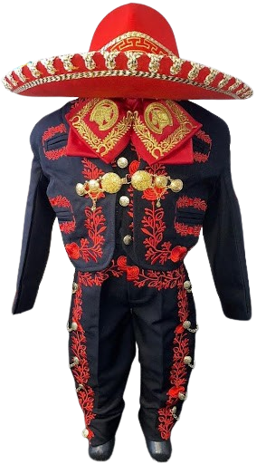 ce6 removebg preview