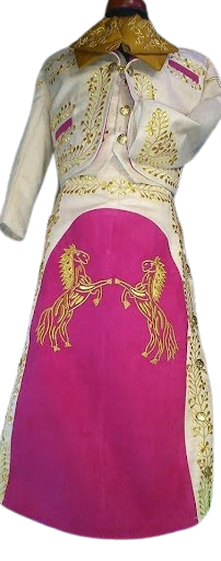 ws1 removebg preview