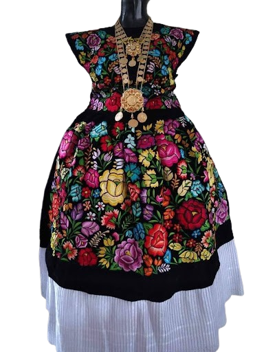 11 removebg preview (1)