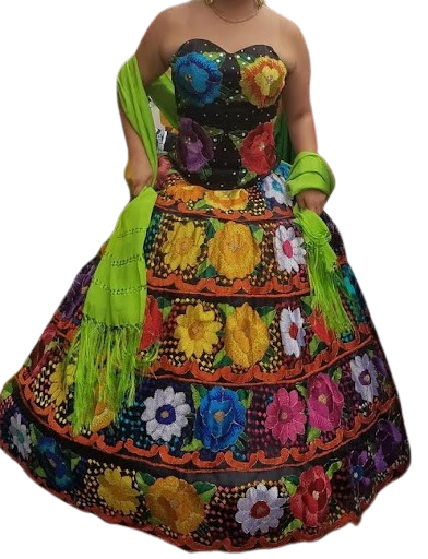 2 removebg preview (2)