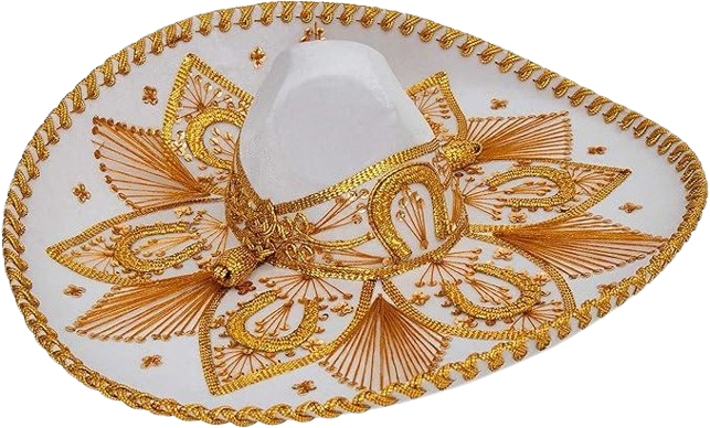 image100 removebg preview